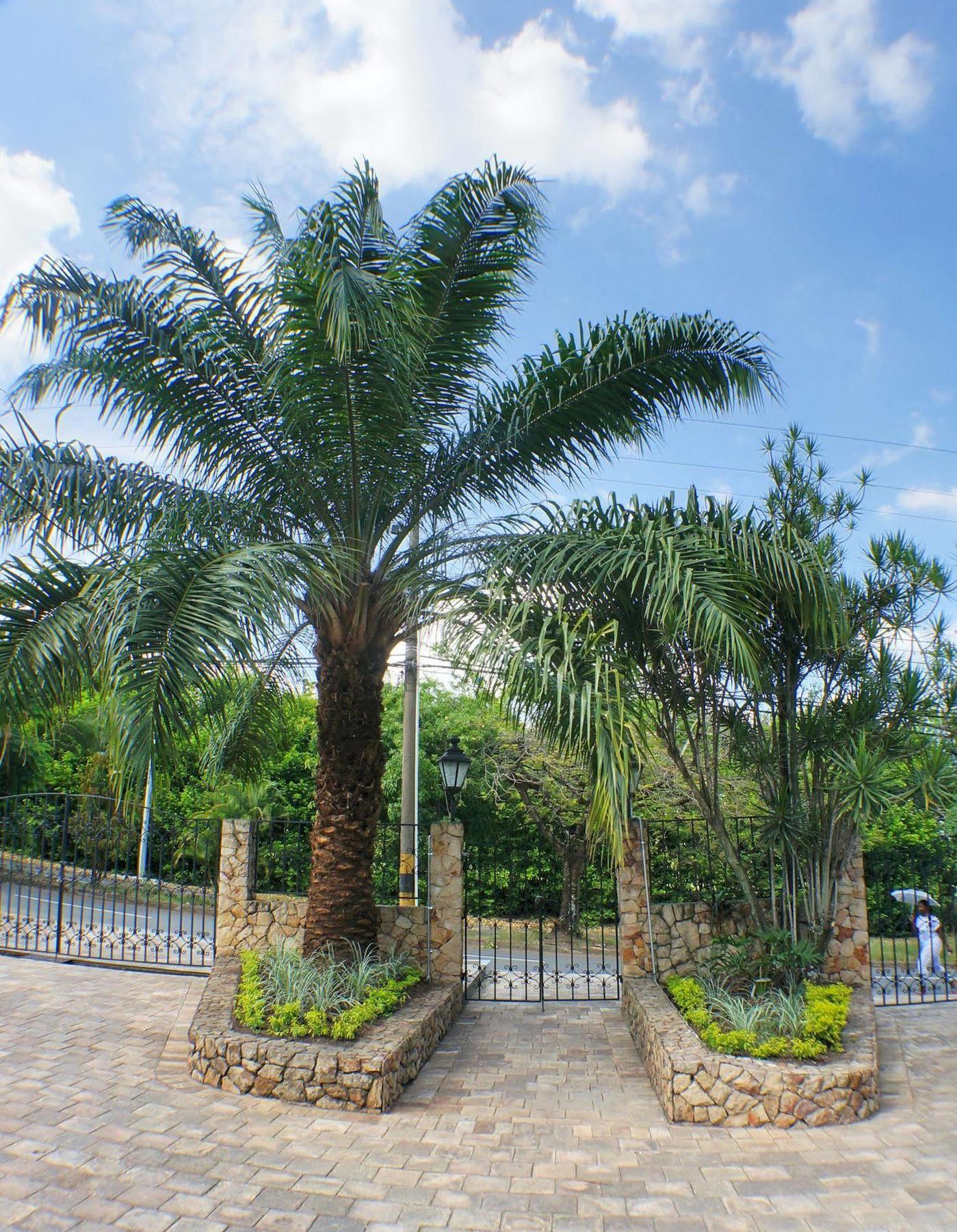 Urban Hotel Boutique Menga 外观 照片